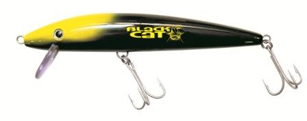 Black Cat Minnow