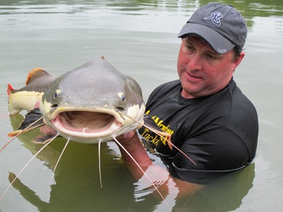 Amazon Red Tail Catfish 35lb