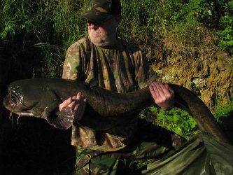 Dave Hedges 62lbs Catfish Jones Pit