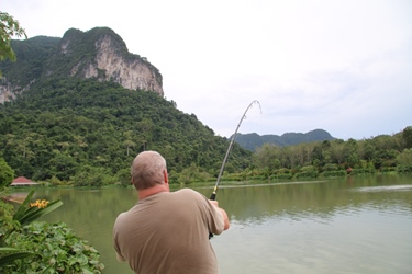 Catfish Rods & Winch Rod