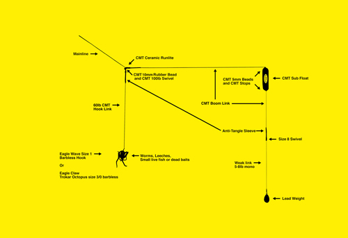 The Dyson Catfish Set Up in Detail