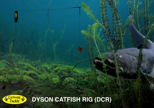 The Dyson Catfish Set Up