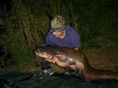 Ian Fisher 66lbs Catfish JonesPit