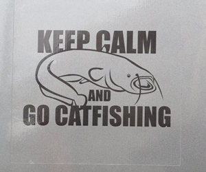 Catfish Vehicle Sticker 