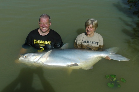 Mekong Catfish 190lb.
