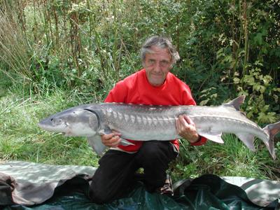 Rodney Blundall 56lb 8oz Sturgeon