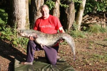 Ron-Griffiths 64lb Catfish